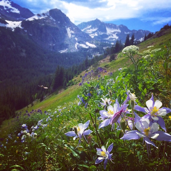 Meet your Posher, Michele - Picture 1 of 1